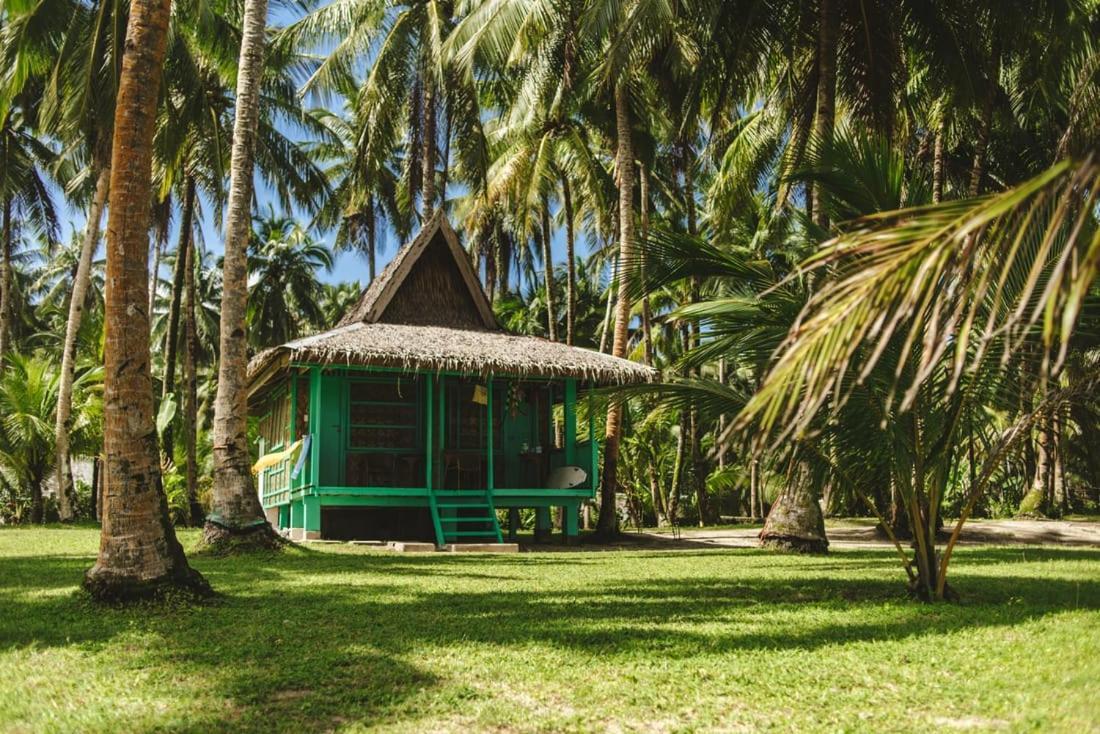 Pacifico Bigwish Beach Resort San Isidro  Eksteriør bilde